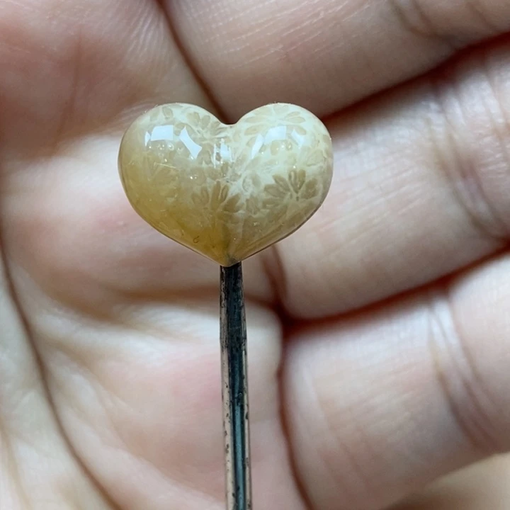 颈饰未镶嵌硅化珊瑚（珊瑚玉）小