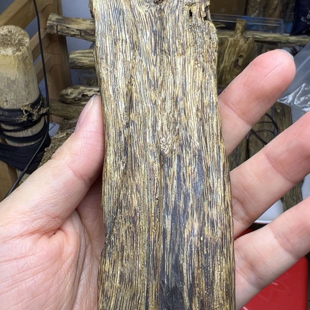 线香奇楠虫漏香35克