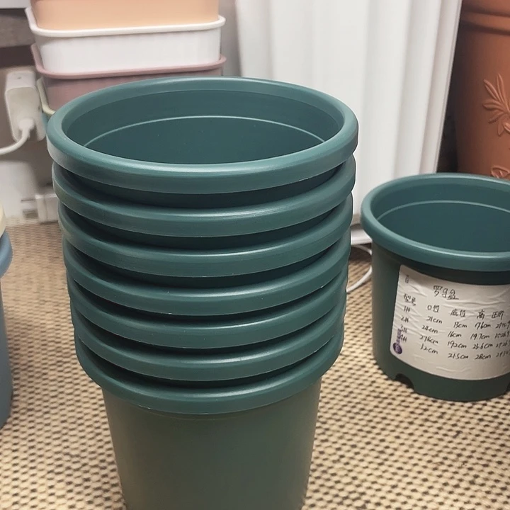 四季口14绿色7个无拖