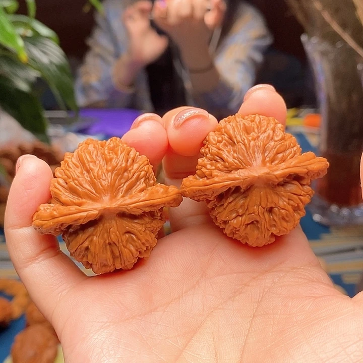 h***.楼子，棱43，肚38