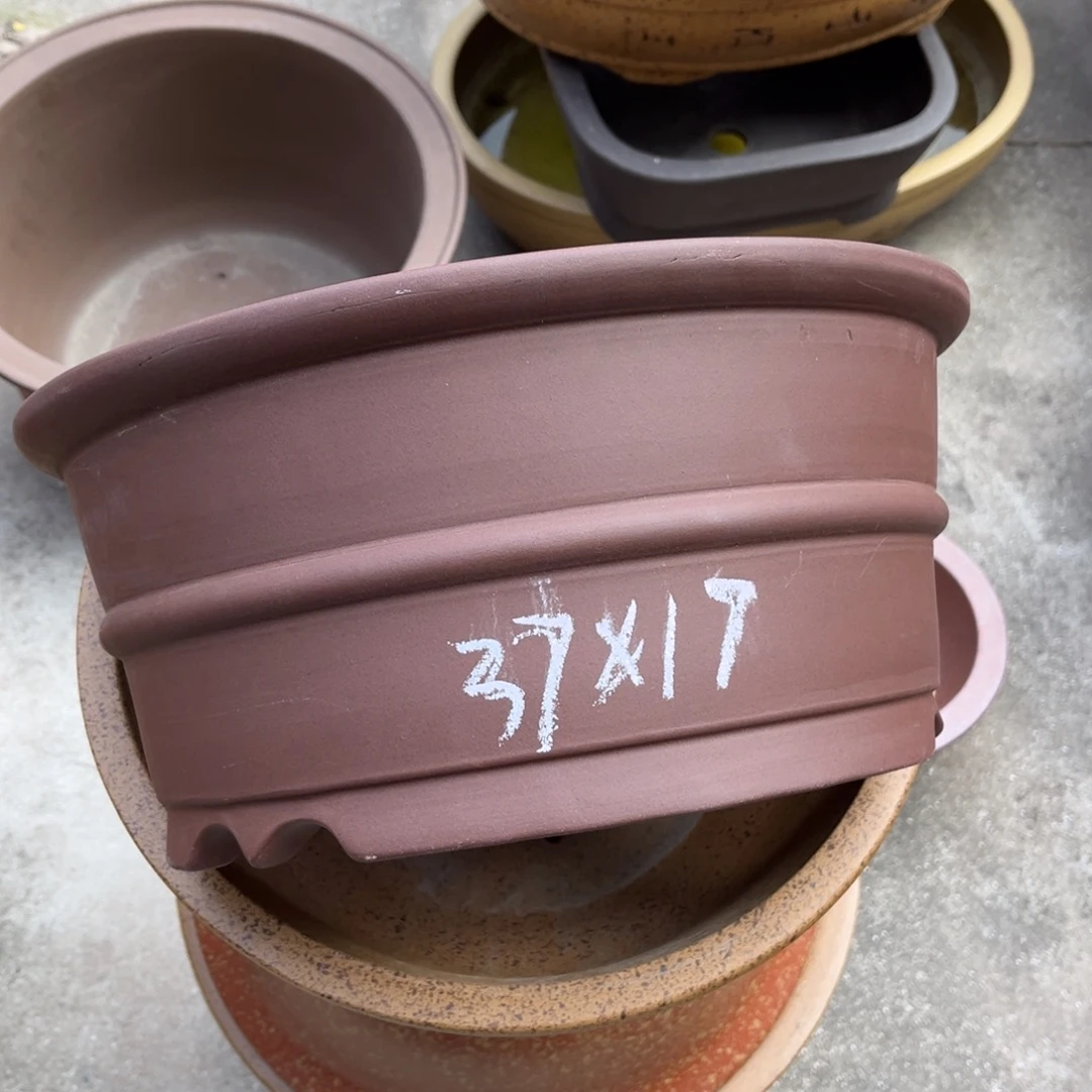 花盆紫砂盆景艺术