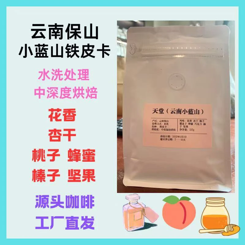 【云南保山小蓝山铁皮卡】云南保山高海拔精品手冲铁皮卡醇厚花香