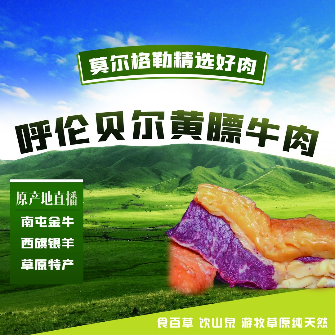 呼伦贝尔纯天然草地牛的黄膘牛肉7斤 适合炒菜 烤肉