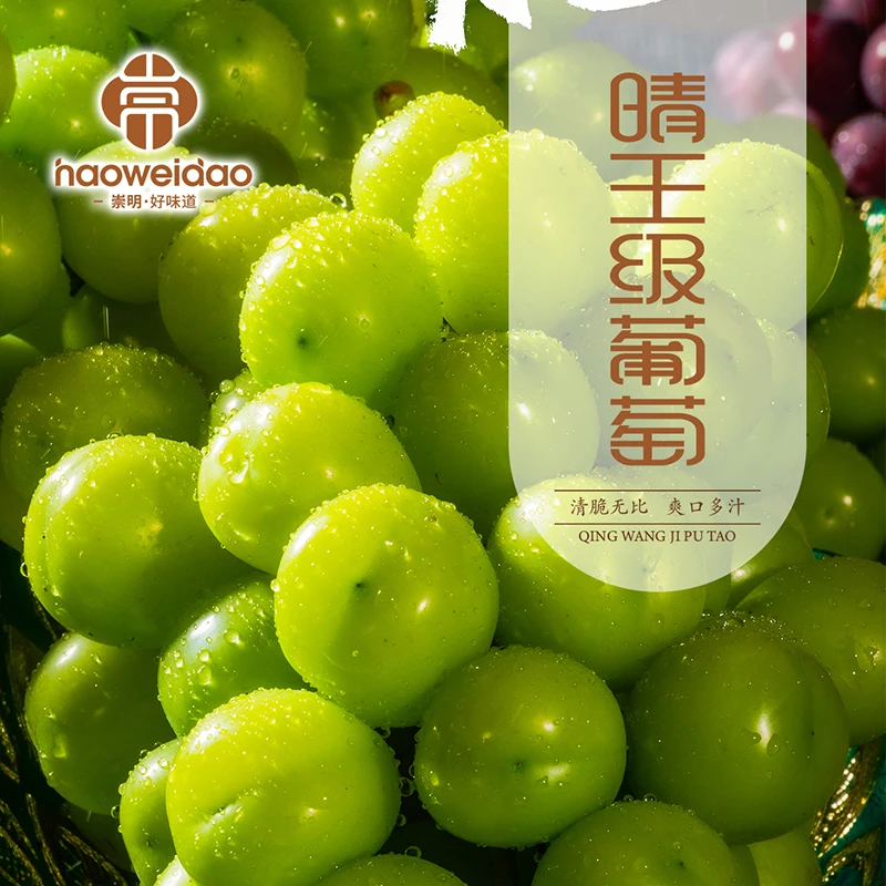崇明好味道 | 晴王级葡萄拍3斤送1斤 现摘无籽无核皮薄肉厚顺丰发
