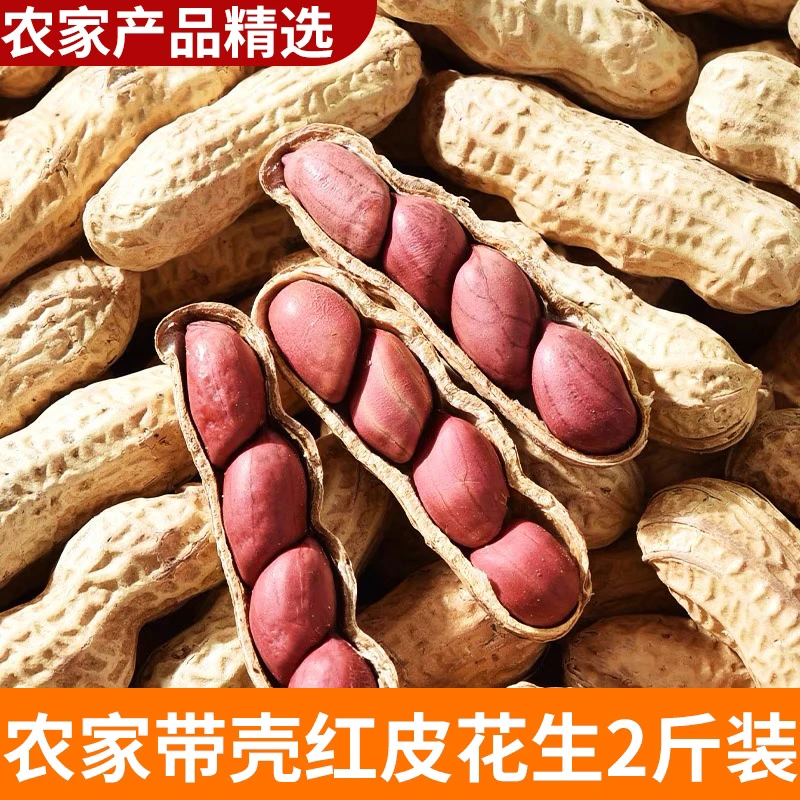 带壳红皮花生 2斤农家生花生 农家山货农村新货