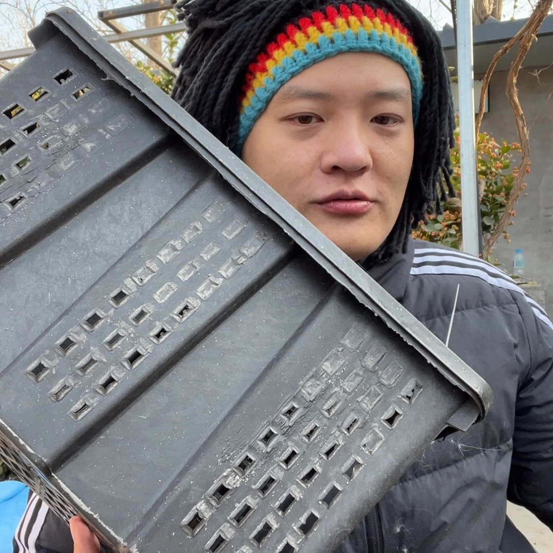 宠物兔英系安哥拉兔