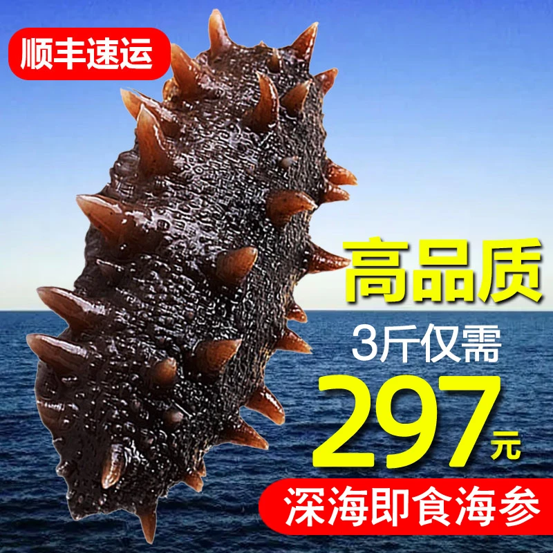 【适中口感】13-15头即食海参礼盒海参独立包装品质