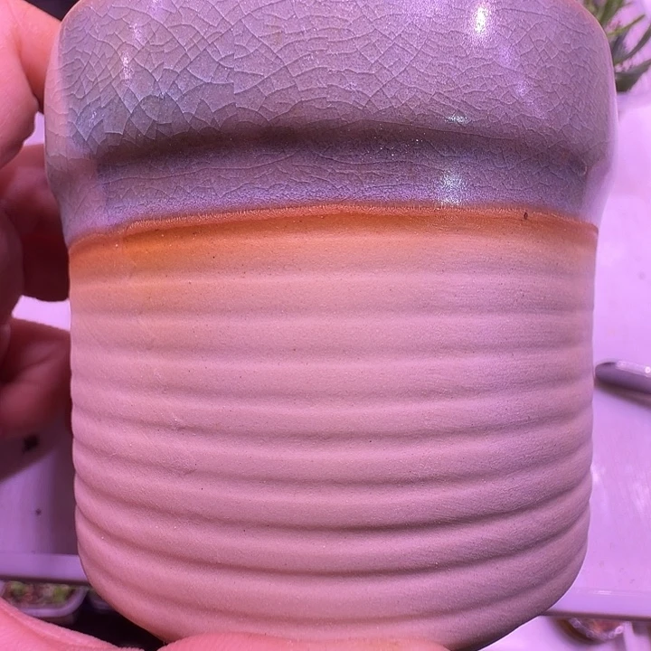 盆40，冰裂素陶双拼色，多肉盆闲置处理福利出！