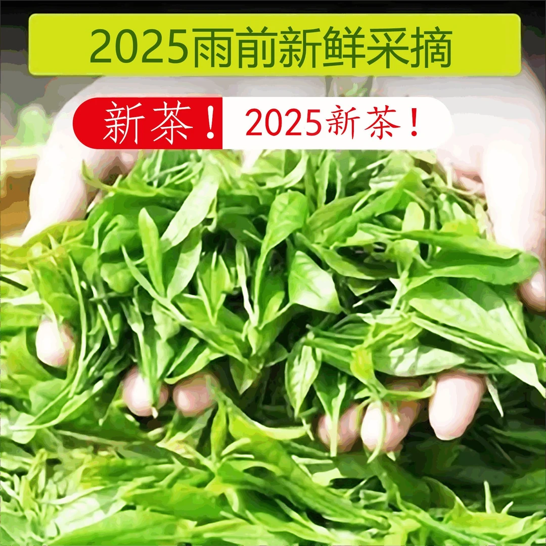 谭河2025信阳毛尖新茶雨前手工茶耐泡绿茶茶叶口粮茶高山炒青春茶