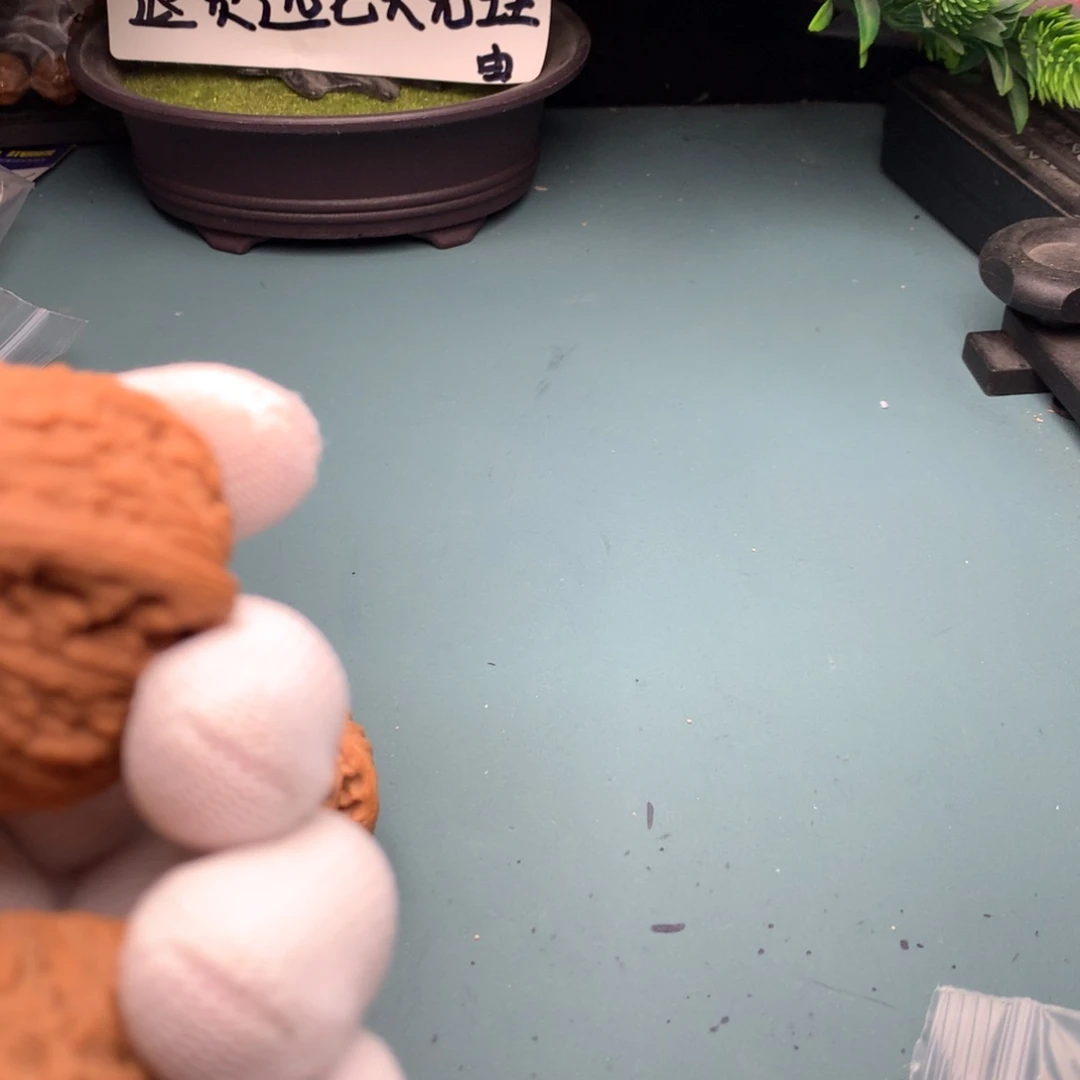 文玩核桃把件维修泥鳅4041