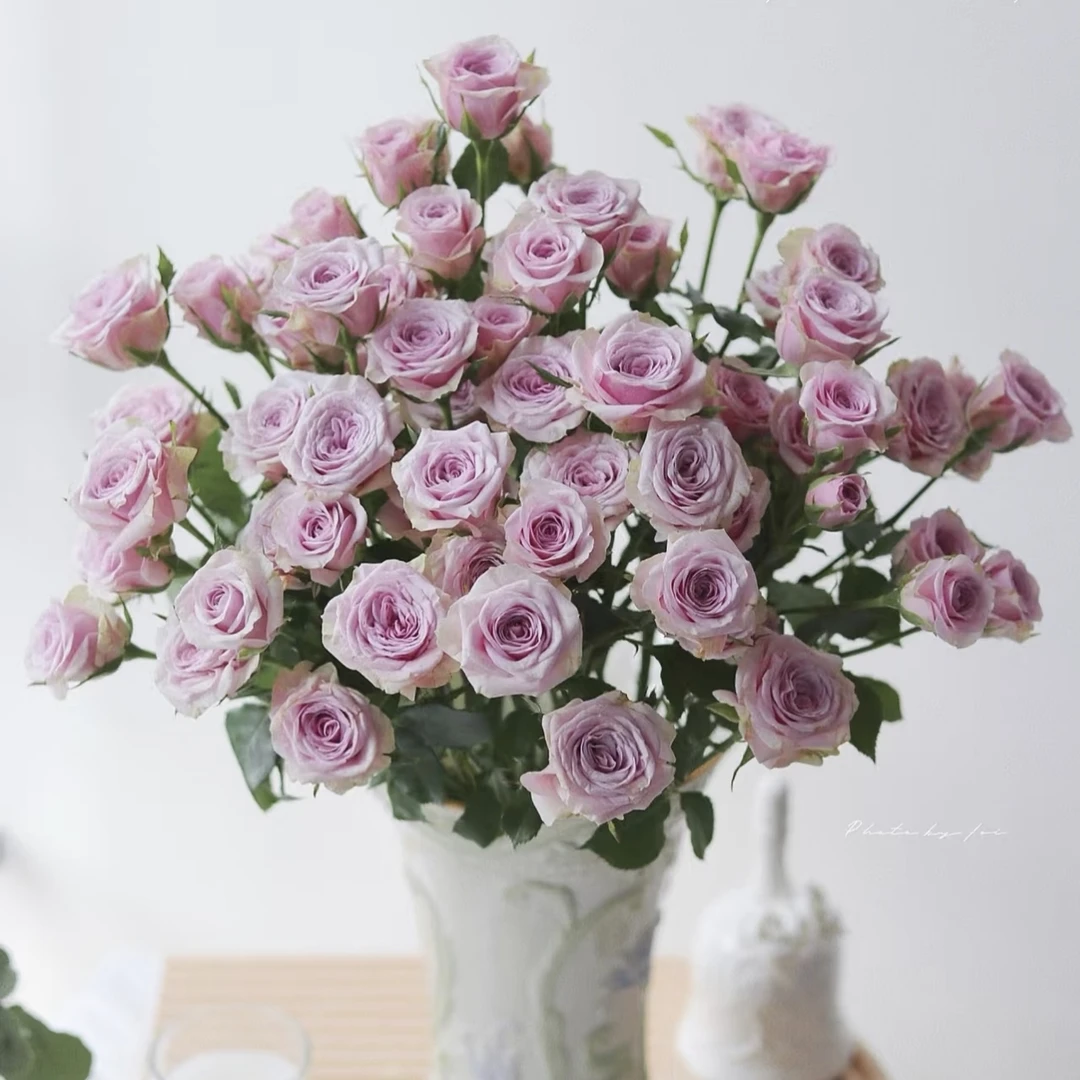 【莱拉多头鲜花】云南多头鲜切花水培插花任意两单 顺丰包邮