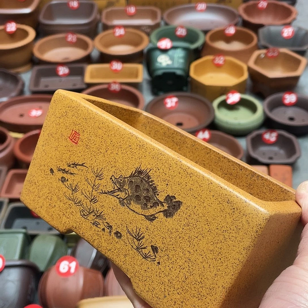 紫砂小盆13*7*6cmmm