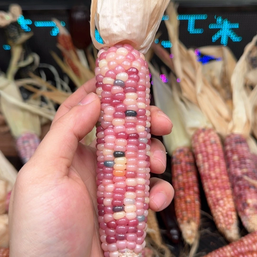 柏香籽/百香籽吊坠小****2