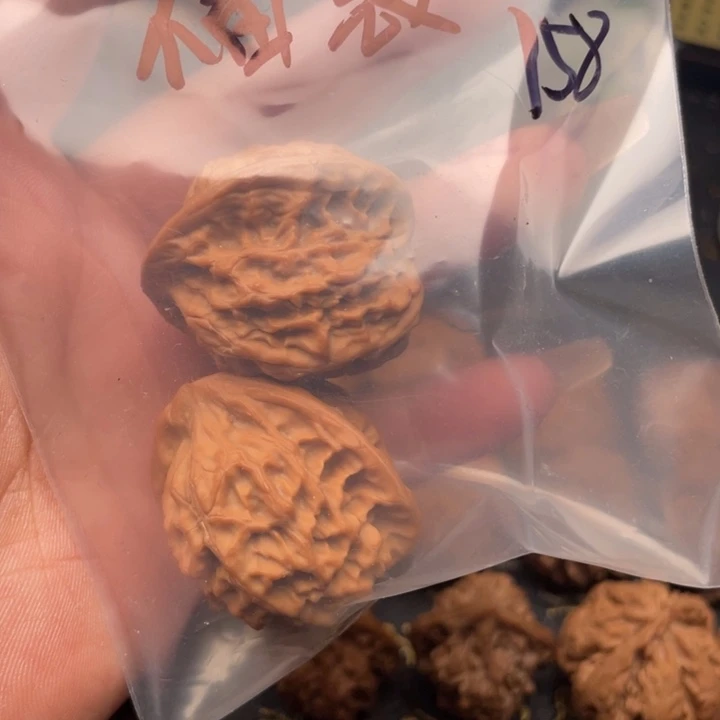 亿***诛核桃36福袋野生金公子