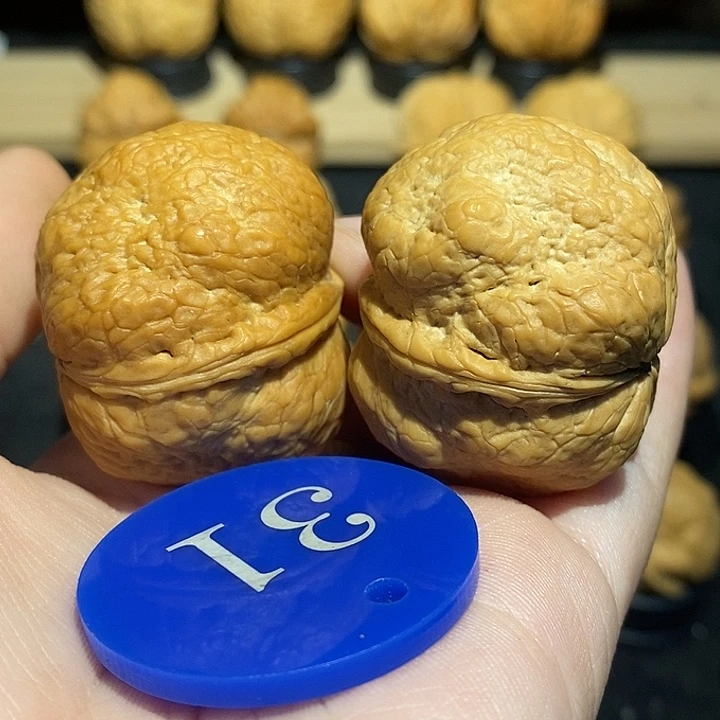 核桃夏*方尊元宝48尺寸核桃