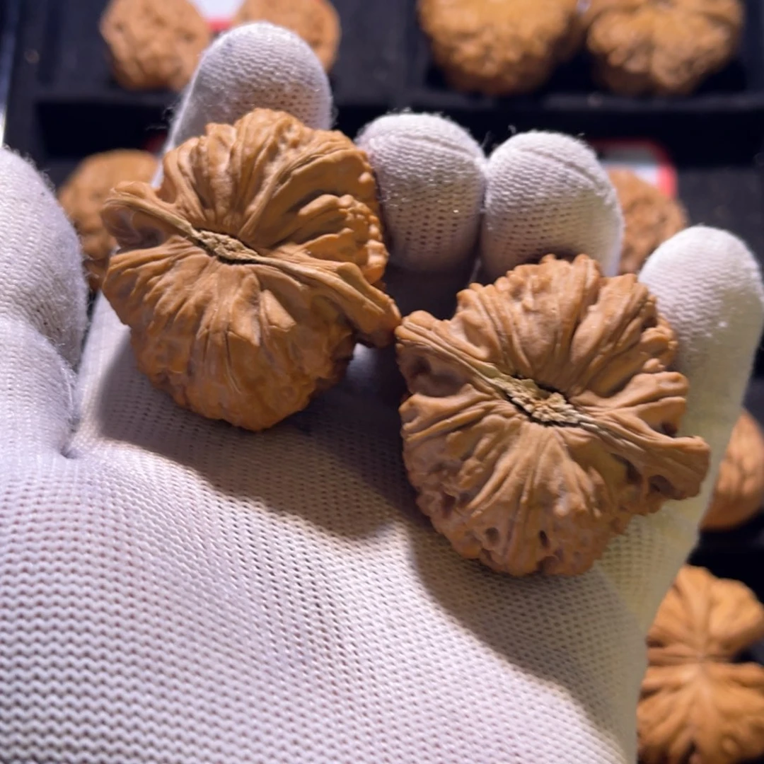 高**家秦皇岛山地果全品45闷白