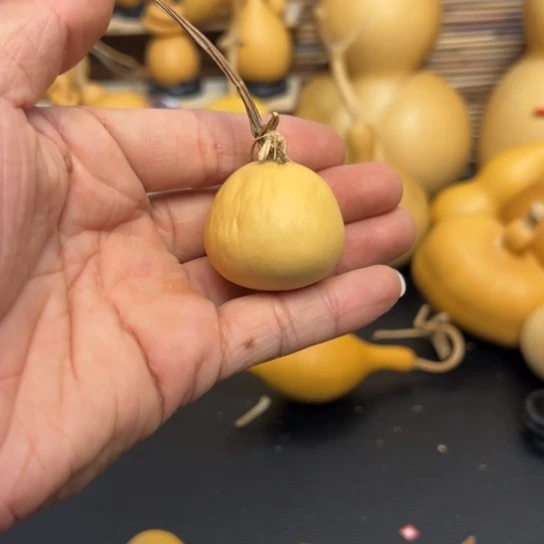 于*鱼25686696336566666