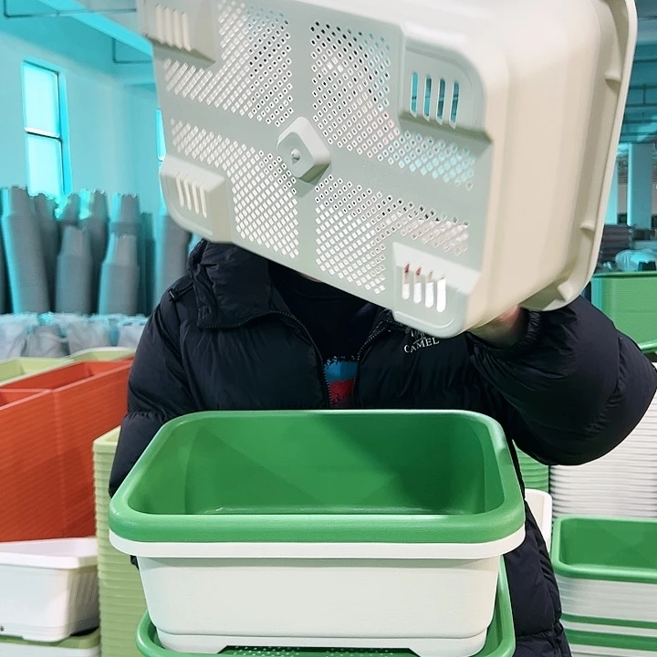 特价小菜盆长38.5宽29高15果绿带托3只