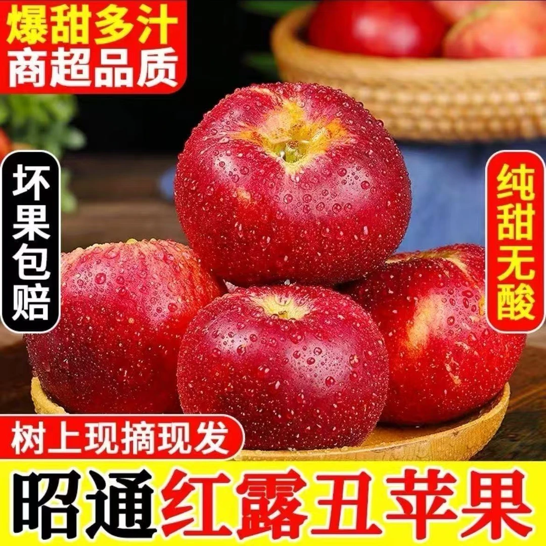 2025年云南昭通【红露】丑苹果红露当季水果脆甜现摘高原红露苹果