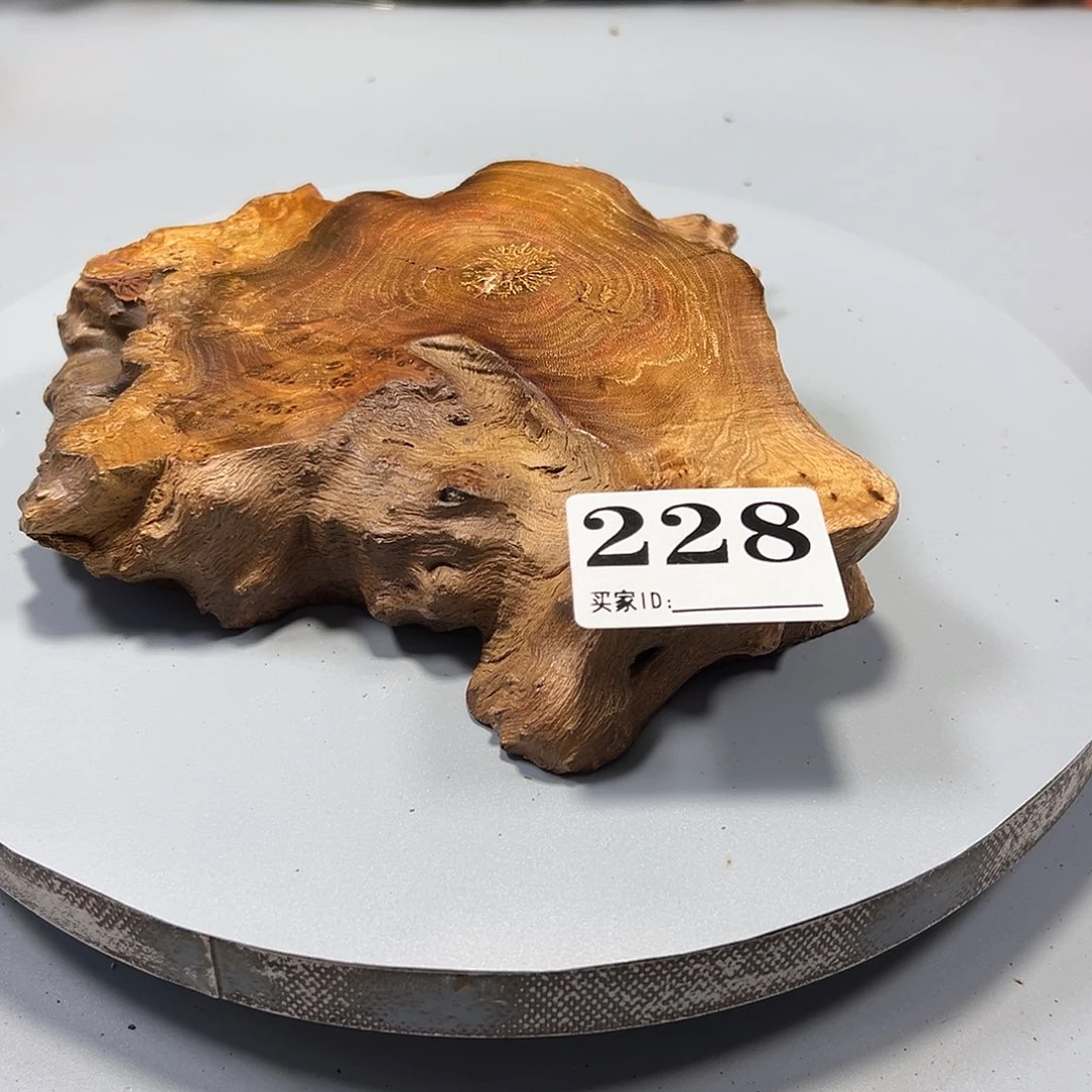 大果紫檀（缅甸花梨）徐*长