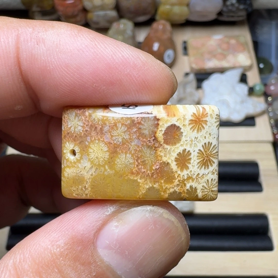 未镶嵌纯天然色有机玉石保真色硅化玉