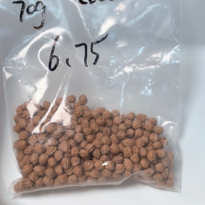 c****c塘果百香散籽白芽
