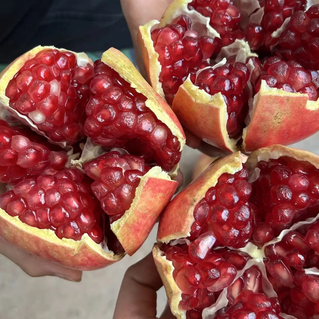 四川攀枝花突尼斯软子石榴纯甜口感净重5/9斤新鲜应季水果