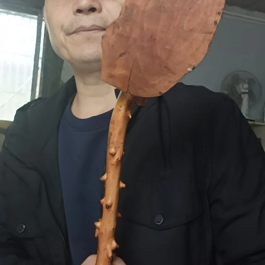 稳定木善****缮高山 檬子木文玩料