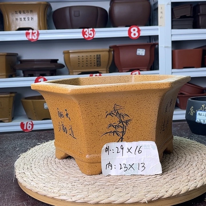 紫砂花盆你在一起