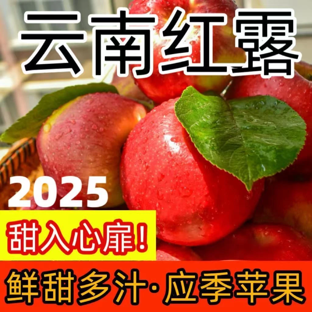正宗云南昭通冰糖红露丑苹果新鲜水果整箱现摘脆甜绍通野生苹果NN