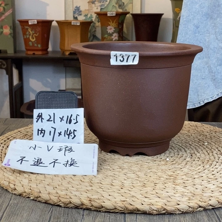 花盆紫砂  开播福利微瑕紫泥金钟1377