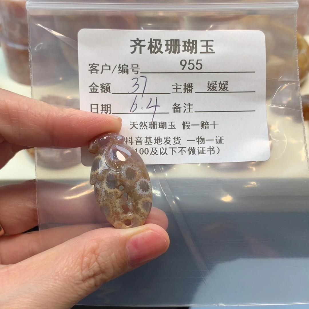 硅化珊瑚（珊瑚玉）未镶嵌颈饰正*