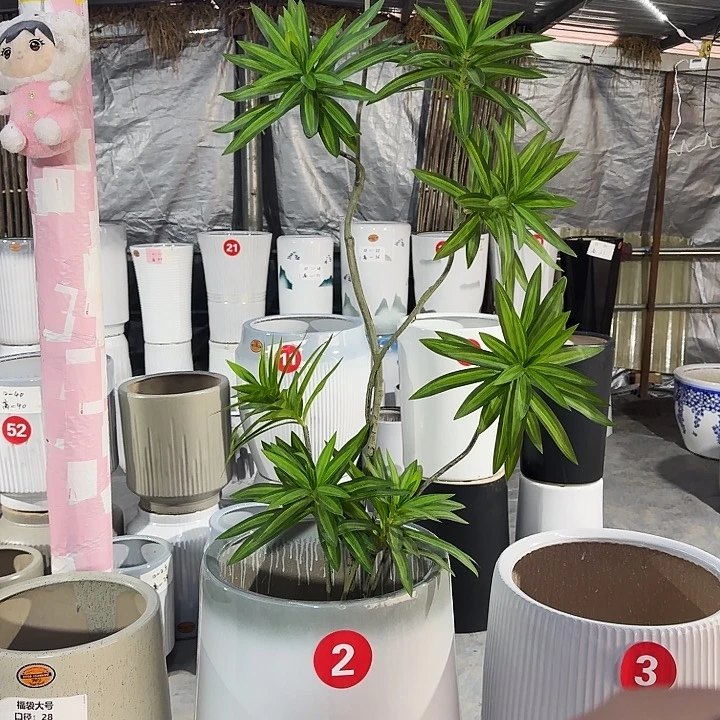红陶陶瓷制品生产厂家