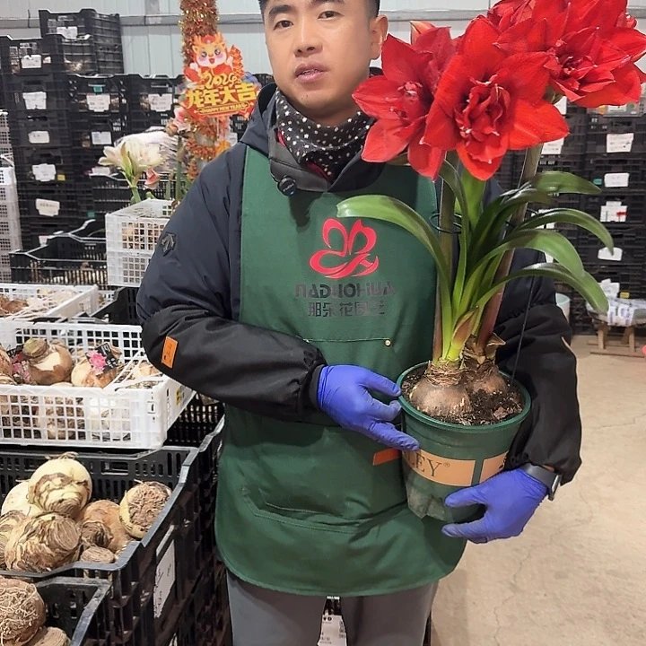 随机基地球一个，，，，，，