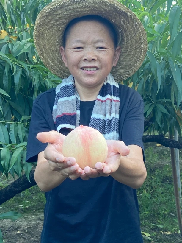 【单果5-6两】正宗奉化水蜜桃上市了 香甜可口 新鲜水果