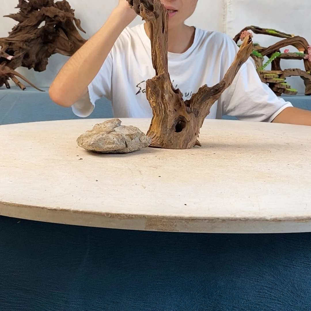 沉木造景爬宠造景