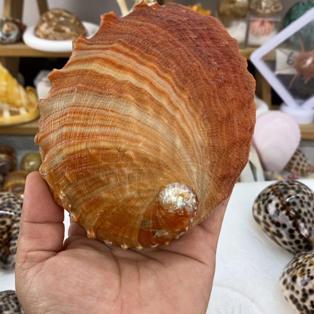 M***a宝宝宝宝宝宝宝可爱