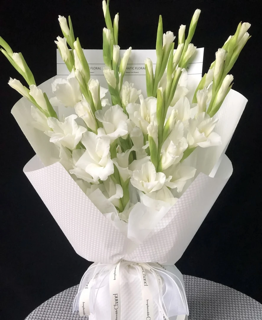 白色剑兰10支节节高（昆明基地鲜花花束直发跳舞洋甘菊）基地直发