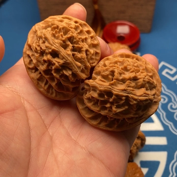 长***儿大叶紫檀（黑酸枝木类）