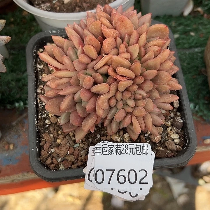 幸运的是我没有遇到过这样