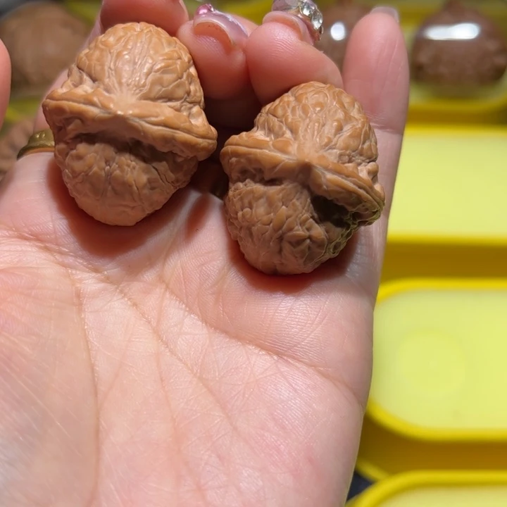 舍利子31尺寸的全品