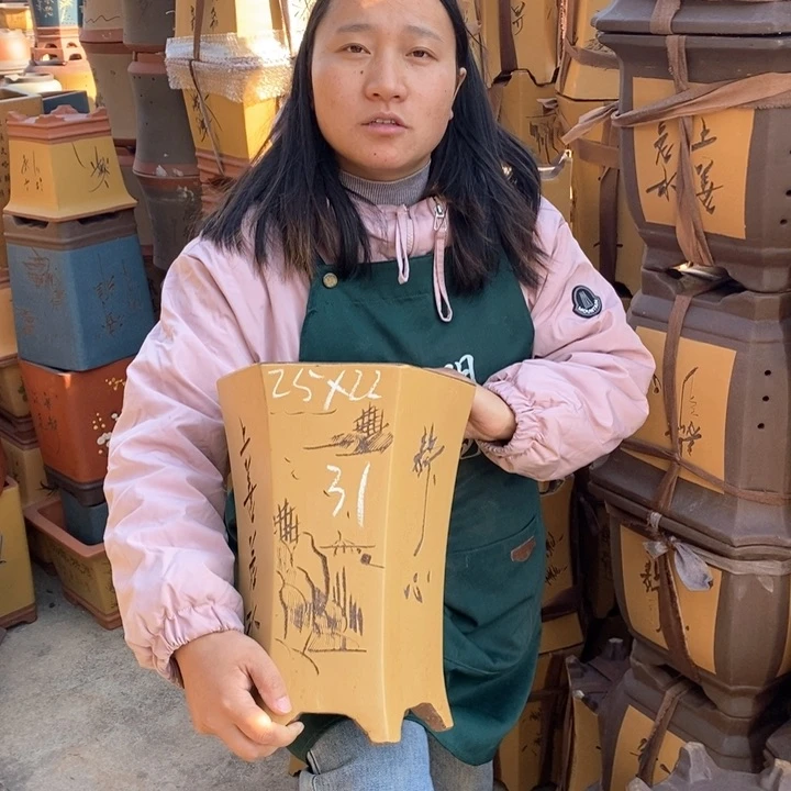 紫砂花盆盆栽花卉苗木种植
