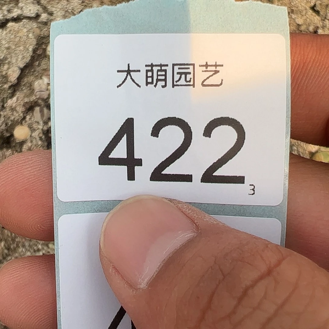 不*拿0000422一物一拍……