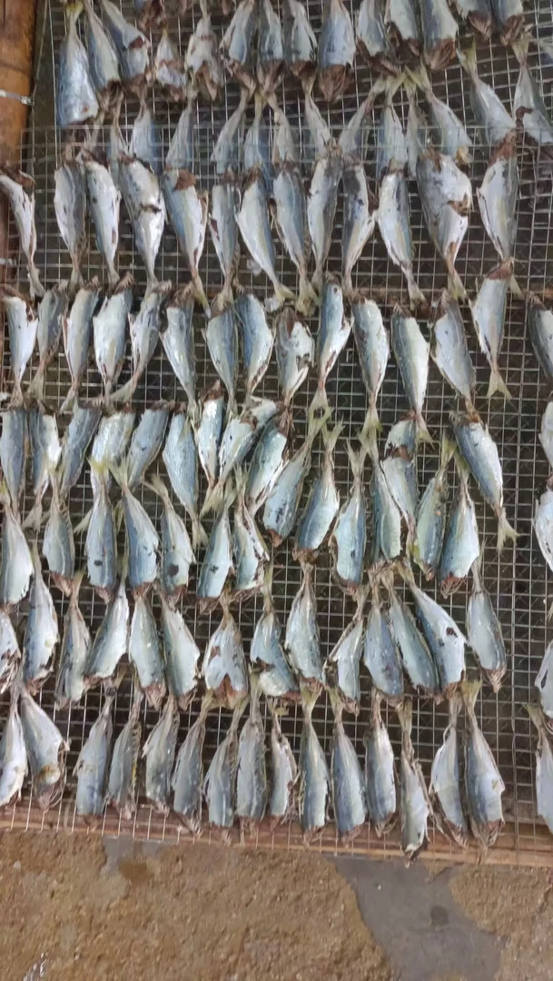 广东汕尾特产去头日晒巴浪鱼干自然晾晒味道鲜美的海鲜干货