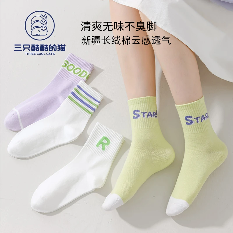 三只酷酷的猫四季款袜子无骨袜子3岁到10岁