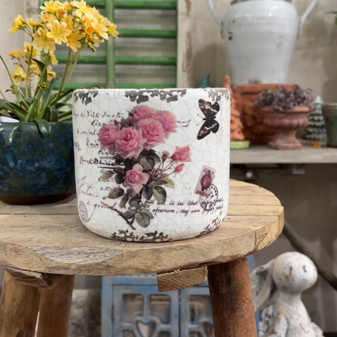 许纯的花房 玫瑰中号