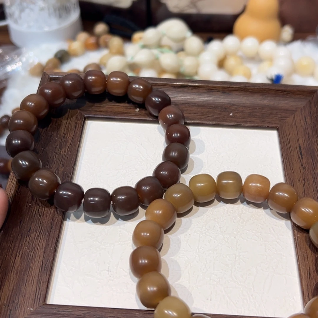 菩提根/象牙果吊坠果子狸全卡13