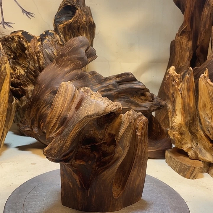 松***鹤木直播间一物一拍