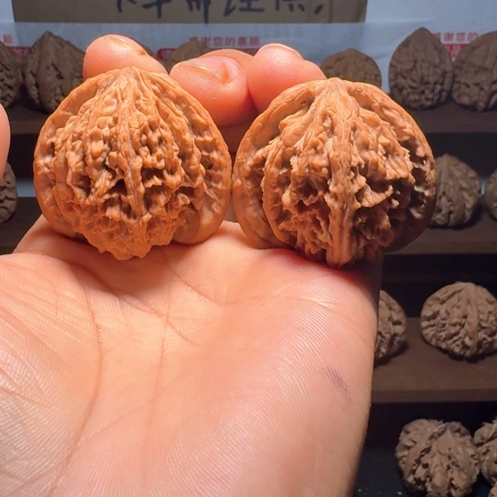 秦岭野生流星雨狮子头42福利