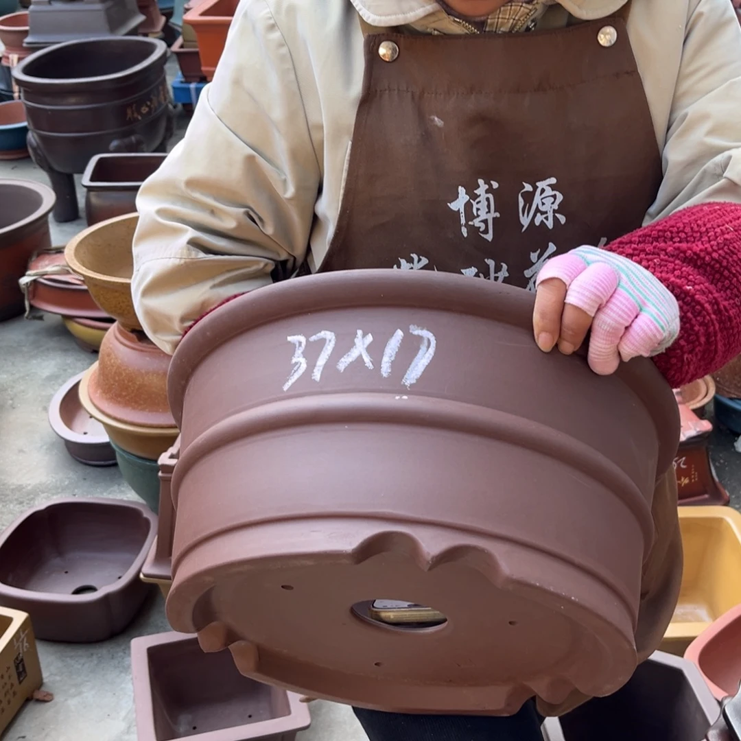 紫砂花盆盆景艺术